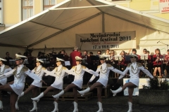 Mezinárodní hudební festival Česká Kamenice